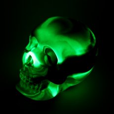 画像5: USUGROW / HASADHU SHINGON SKULL SOFT VINYL SCULPTURE IN GLOW IN THE DARK (5)