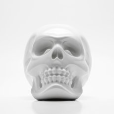 画像1: USUGROW / HASADHU SHINGON SKULL SOFT VINYL SCULPTURE IN WHITE (1)