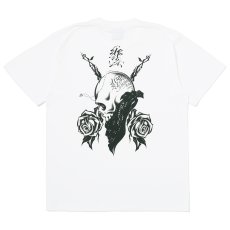 画像1: USUGROW / BEAUTIFUL THORNS WHITE TEE (1)